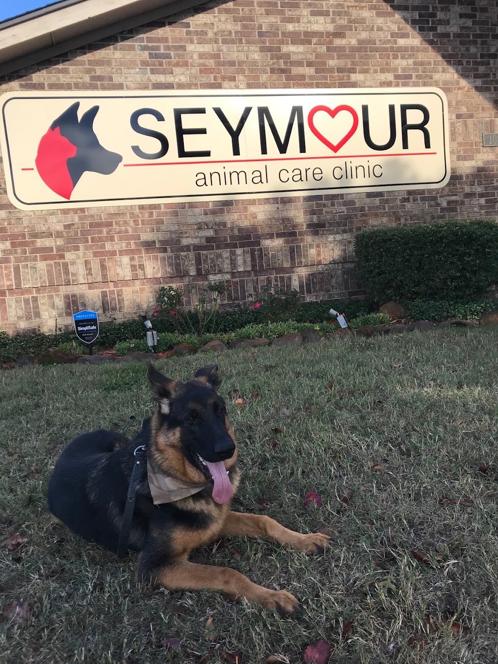 Seymour Animal Care Clinic | 2412 Old North Rd STE 102, Denton, TX 76209, USA | Phone: (940) 387-6090