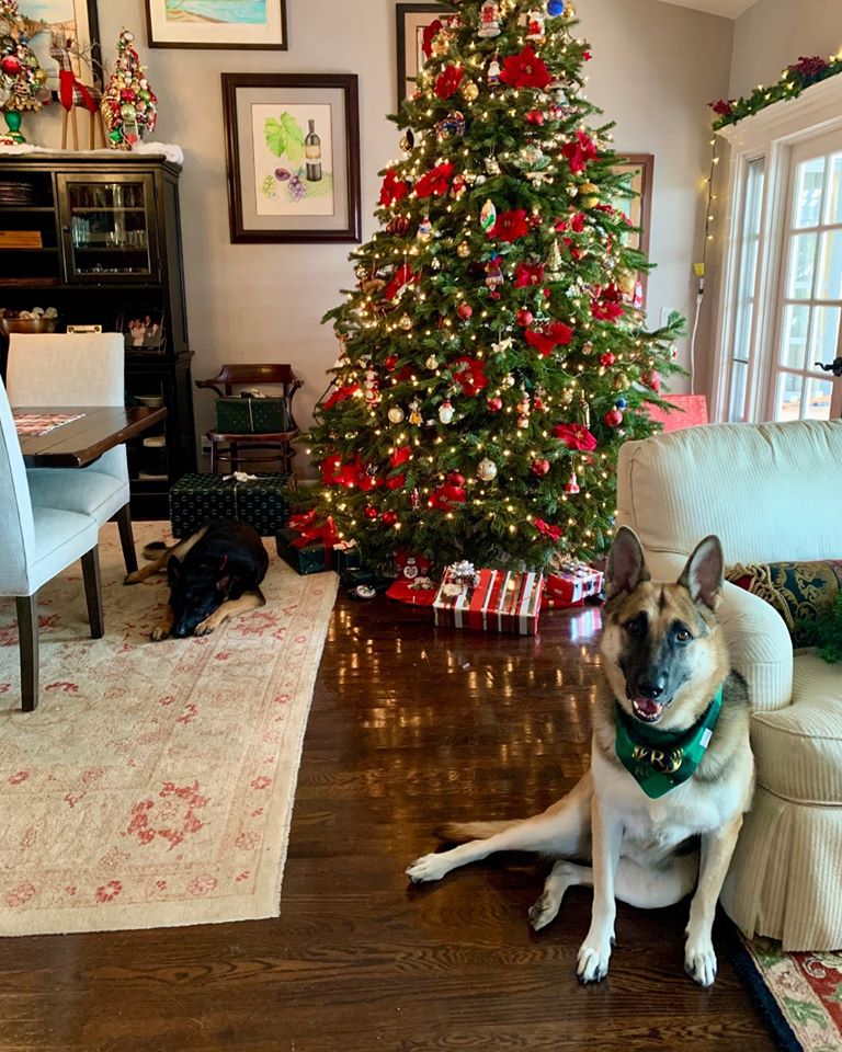 Refined Carpet | Rugs | Flooring | 10770 Talbert Ave, Fountain Valley, CA 92708, USA | Phone: (714) 465-5377