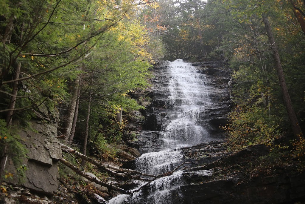 Green Mountain National Forest | Rutland, VT 05702, USA | Phone: (802) 747-6700