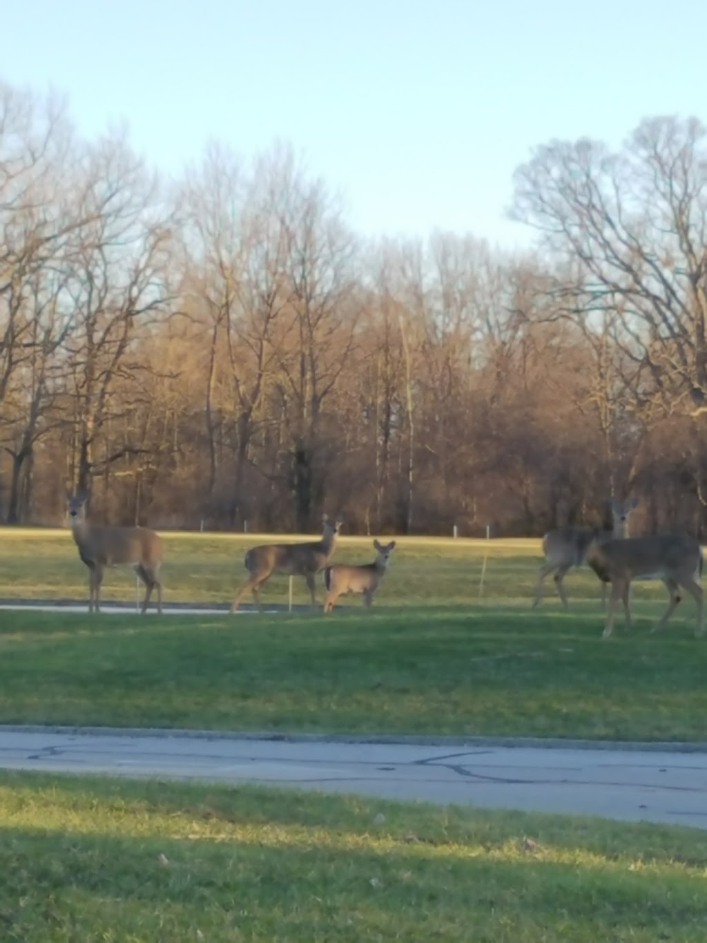 Lake County Forest Preserve | 1215 S Green Bay Rd, North Chicago, IL 60064, USA | Phone: (847) 968-3477