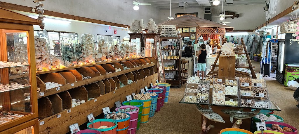 Shell World | 97600 Overseas Hwy, Key Largo, FL 33037, USA | Phone: (305) 852-8245