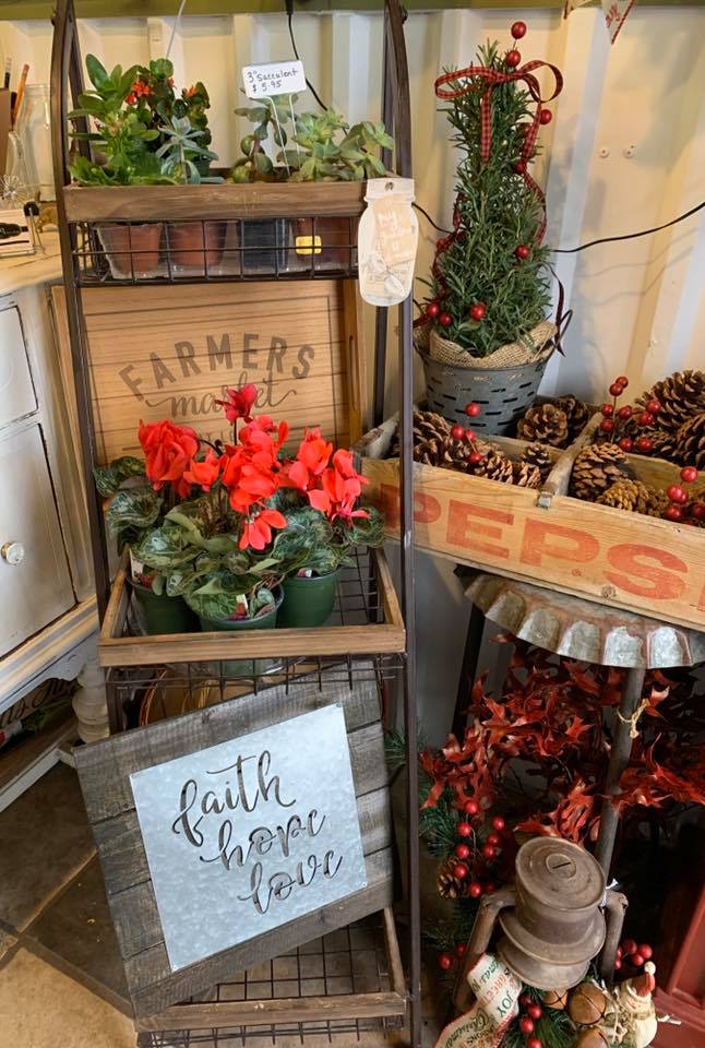 the petal pusher flower shop | 1130 Main St, Cañon City, CO 81212, USA | Phone: (719) 315-2914