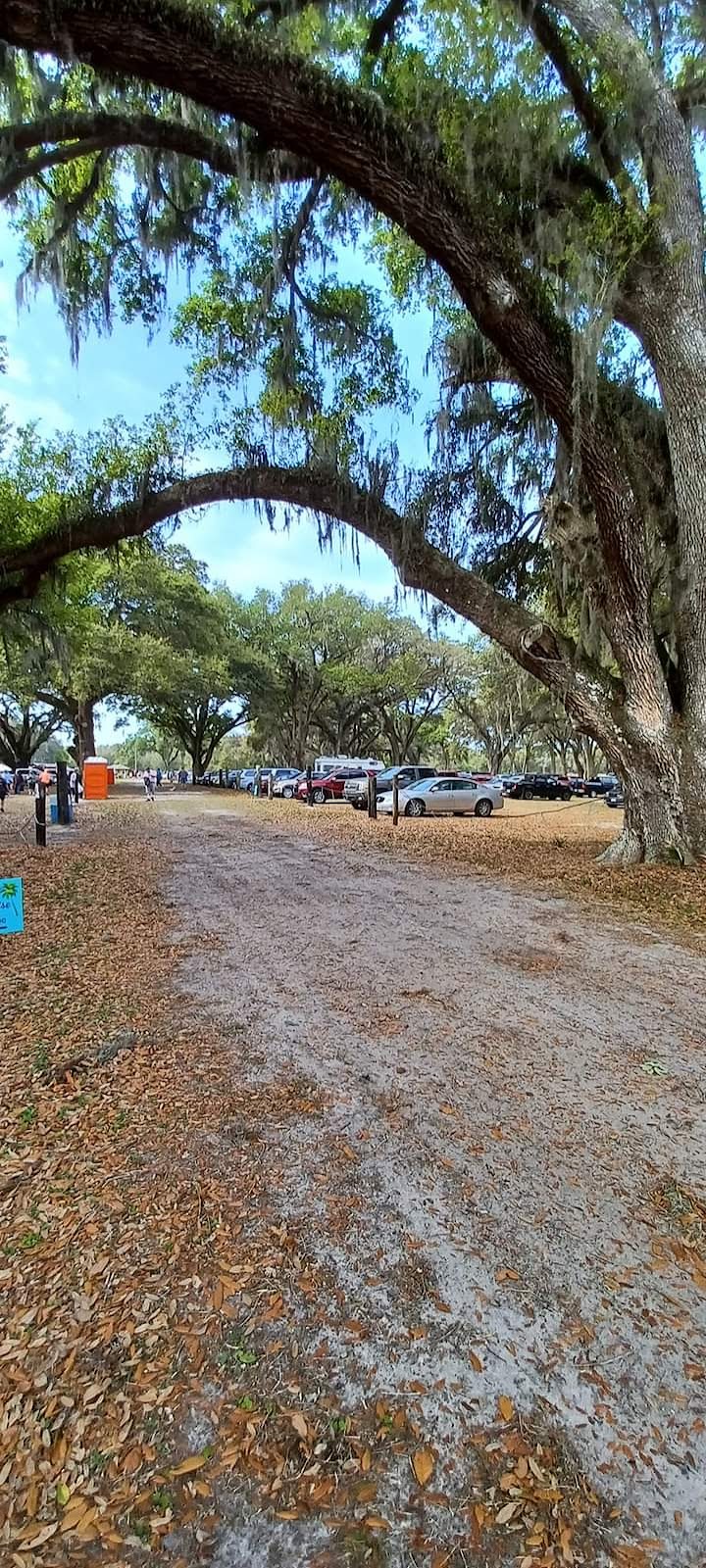 Flea market | 2738 Gall Blvd, Zephyrhills, FL 33541, USA | Phone: (813) 355-6074