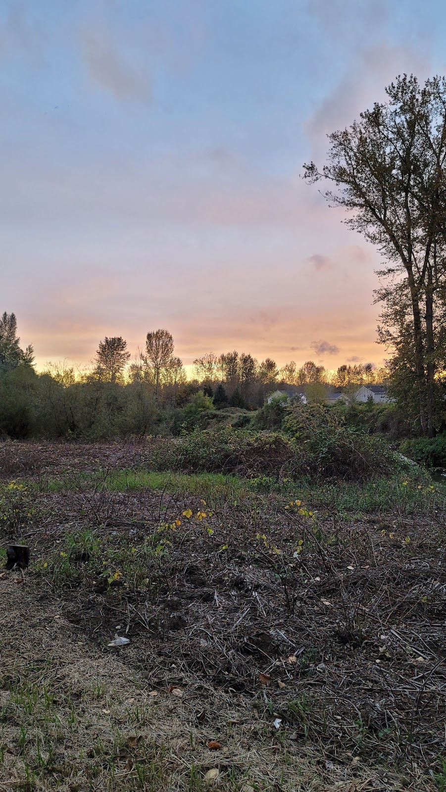 277th Street Corridor Trail | 27459 108th Ave SE, Kent, WA 98030, USA | Phone: (253) 856-5504