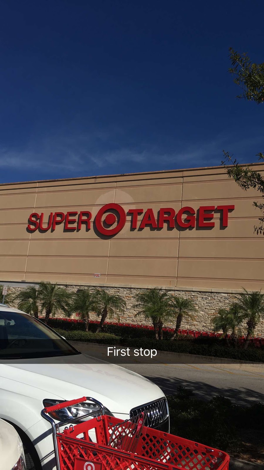 Target | 11627 W Hillsborough Ave, Tampa, FL 33635, USA | Phone: (813) 749-5961