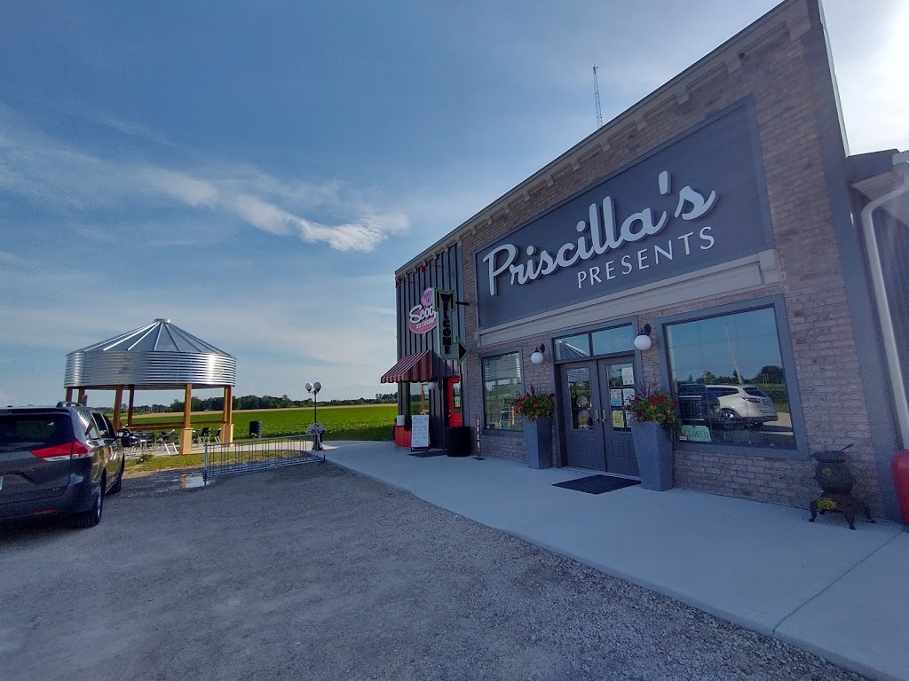 Priscillas Presents | 1195 Iler Rd, Harrow, ON N0R 1G0, Canada | Phone: (519) 738-0001