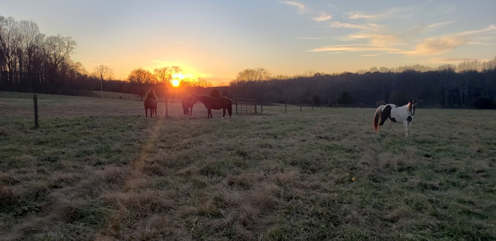 Flying C Farm | 242 Joe Fox Rd, Siler City, NC 27344, USA | Phone: (919) 930-7336 Flying C Farm | 242 Joe Fox Rd, Siler City, NC 27344, USA | Phone: (919) 930-7336