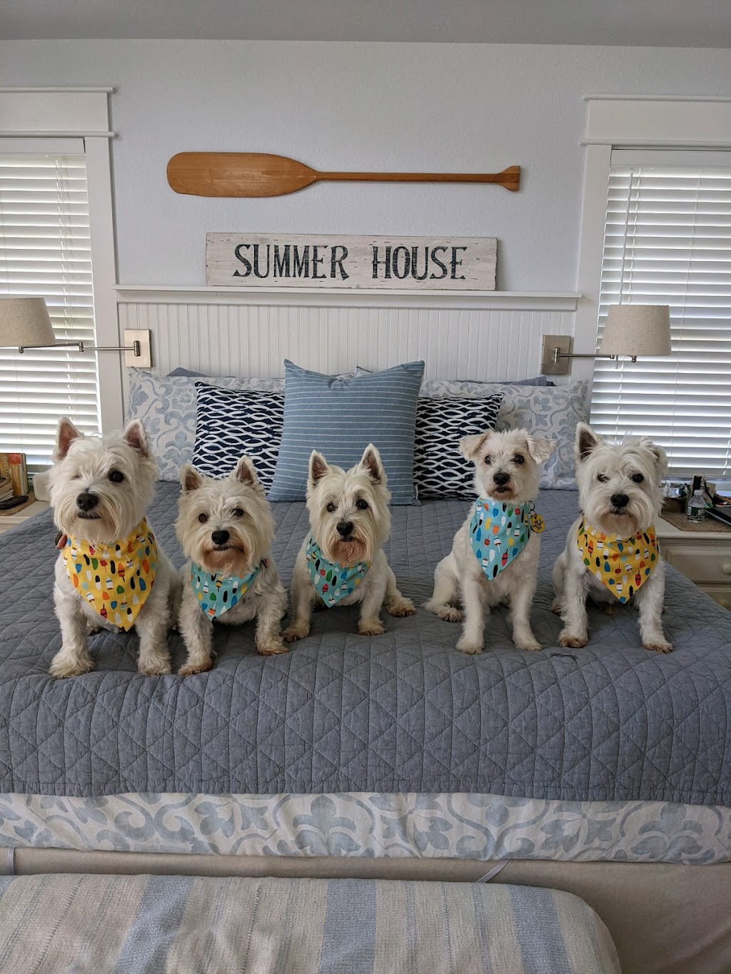 Eastern Shore Animal Hospital | 6421 Caratoke Hwy, Grandy, NC 27939, USA | Phone: (252) 453-8200