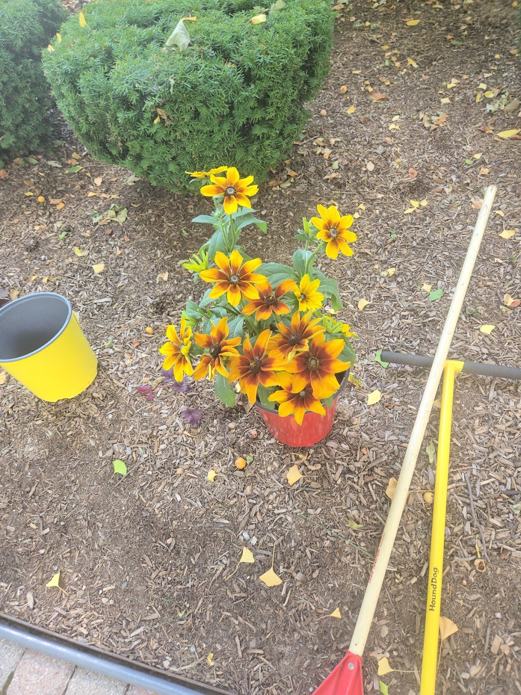 Garden Center at The Home Depot | 47725 Five Mile Rd, Plymouth, MI 48170, USA | Phone: (734) 207-6147