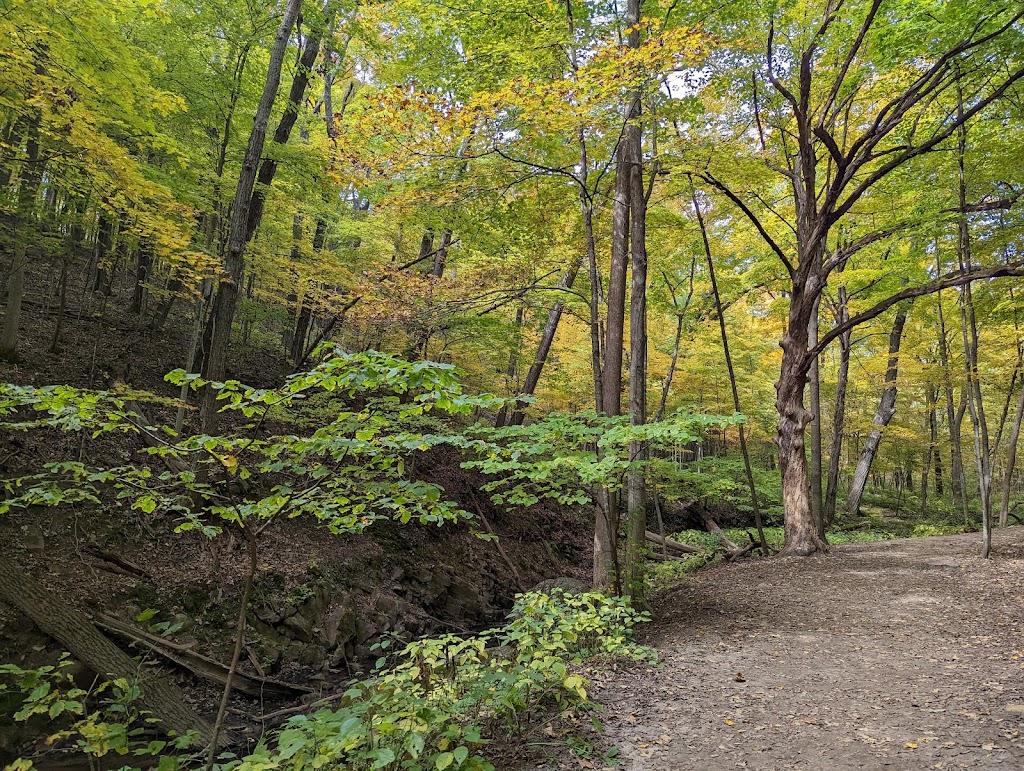 Parfreys Glen State Natural Area | 1377 County Rd DL, Merrimac, WI 53561 | Phone: (608) 266-2621