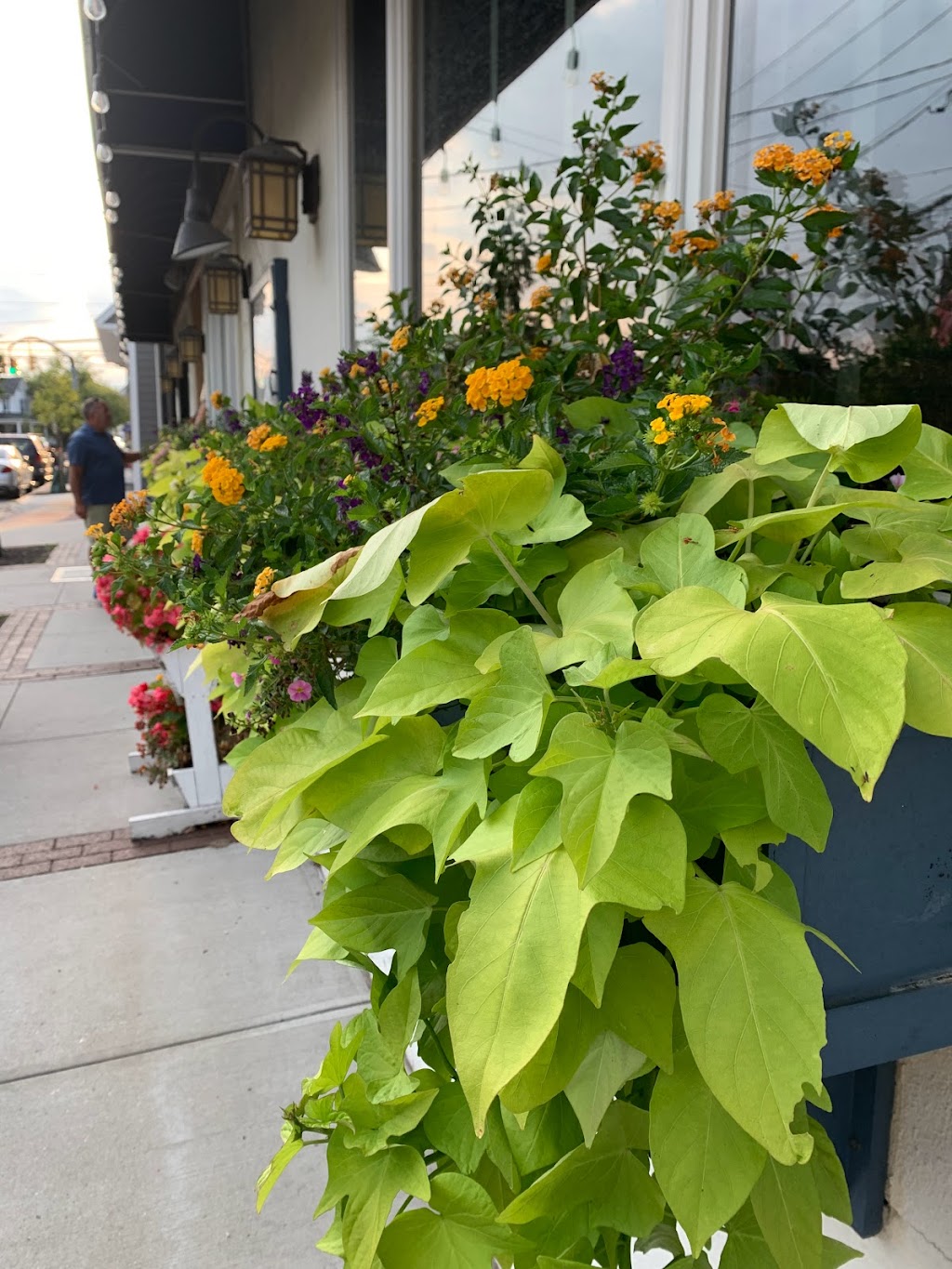 Schultzys Restaurant | 265 Bayville Ave, Bayville, NY 11709, USA | Phone: (516) 588-6240