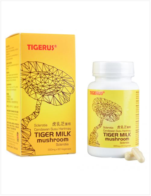Tigerus Milk Mushroom | 4607 Decker Dr, Katy, TX 77494, USA | Phone: (281) 755-4154
