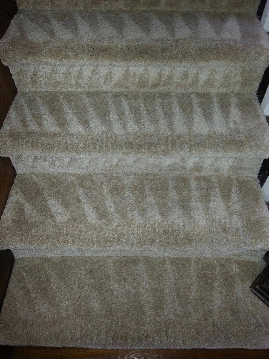 Dry Step Carpet Care and Duct Cleaning | 4059 Ohio 37 E. Suite B, Delaware, OH 43015, USA | Phone: (740) 816-4222