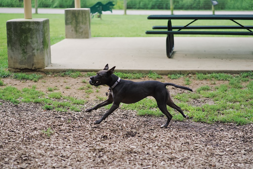 Freedom Run Dog Park | 2098 Turning Wheel Ln, Franklin, TN 37067, USA | Phone: (615) 791-3217