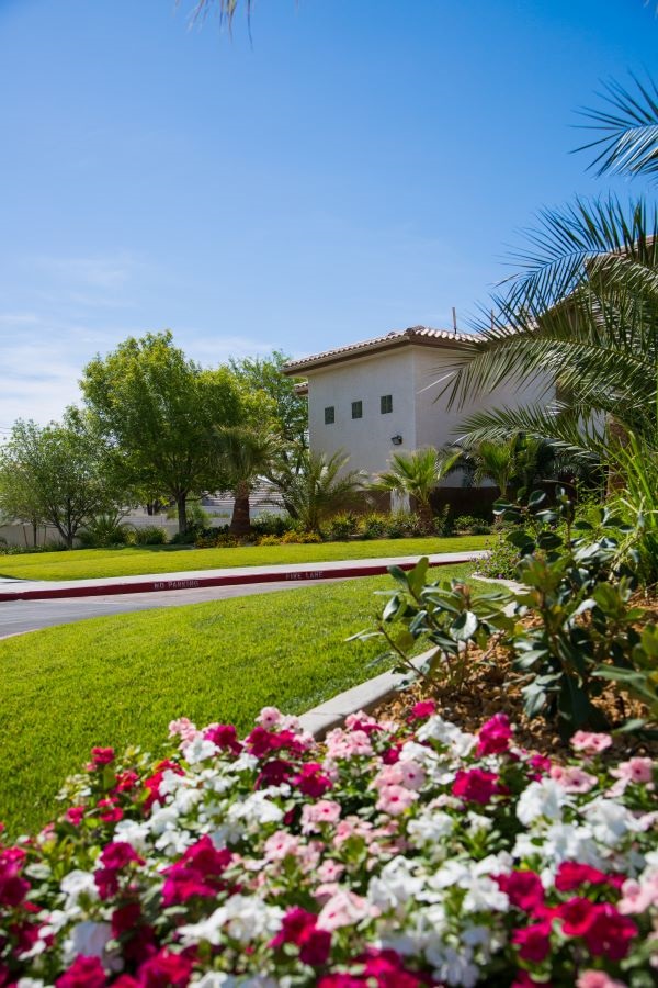 Desert Hope Treatment Center | 2465 E Twain Ave, Las Vegas, NV 89121, United States | Phone: (702) 874-3798