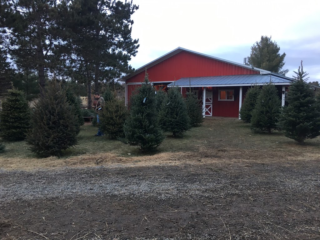 St Croix Valley Trees | 458 Rice Lake Rd, Somerset, WI 54025, USA | Phone: (715) 247-5500