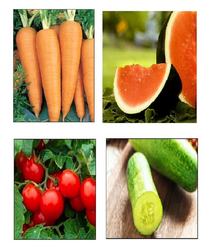 Instant Latch | 1166 97th Ln NW, Coon Rapids, MN 55433, USA | Phone: (612) 220-5618