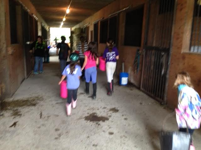 Chavin Equestrian Center | 130 Loweree Rd, Nassau, NY 12123, USA | Phone: (518) 766-3411