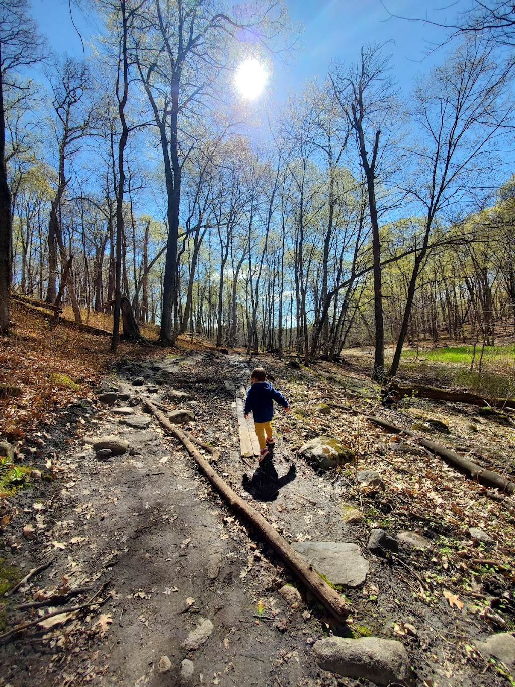 Wood-Rill Scientific and Natural Area (SNA) | 917 Old Long Lake Rd, Wayzata, MN 55391, USA | Phone: (651) 259-5800