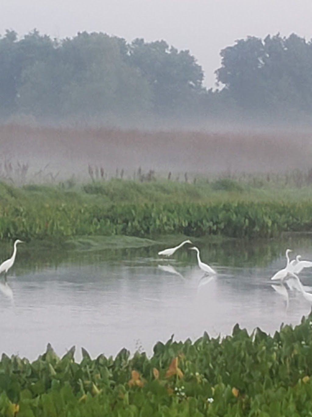 Garvin Brown Nature Preserve, Prospect, KY | 6200 Bass Rd, Prospect, KY 40059, USA | Phone: (502) 583-3060