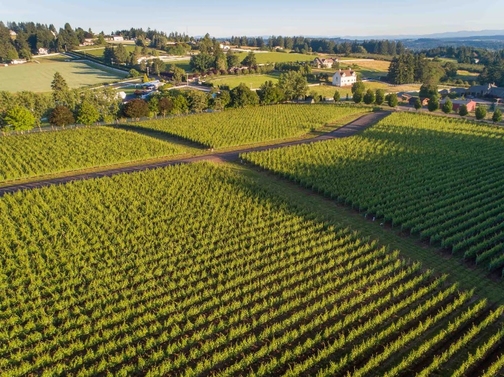 Walgreens Photo | 5702 Crowder Blvd, New Orleans, LA 70127, USA | Phone: (504) 241-1456