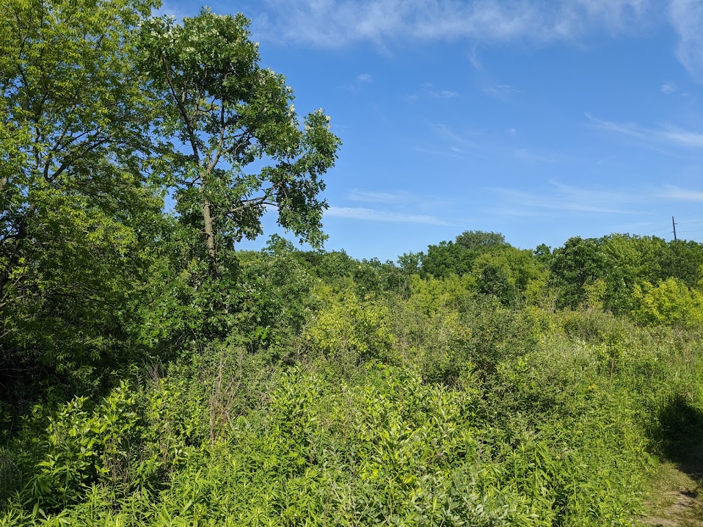 Patrick Marsh Wildlife Area | Stein Rd, Sun Prairie, WI 53590 | Phone: (608) 258-9797