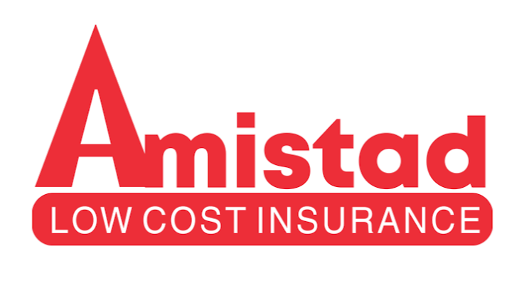 Amistad Insurance LLC | 2107 E College Ave #8, Ruskin, FL 33570, USA | Phone: (813) 331-3922