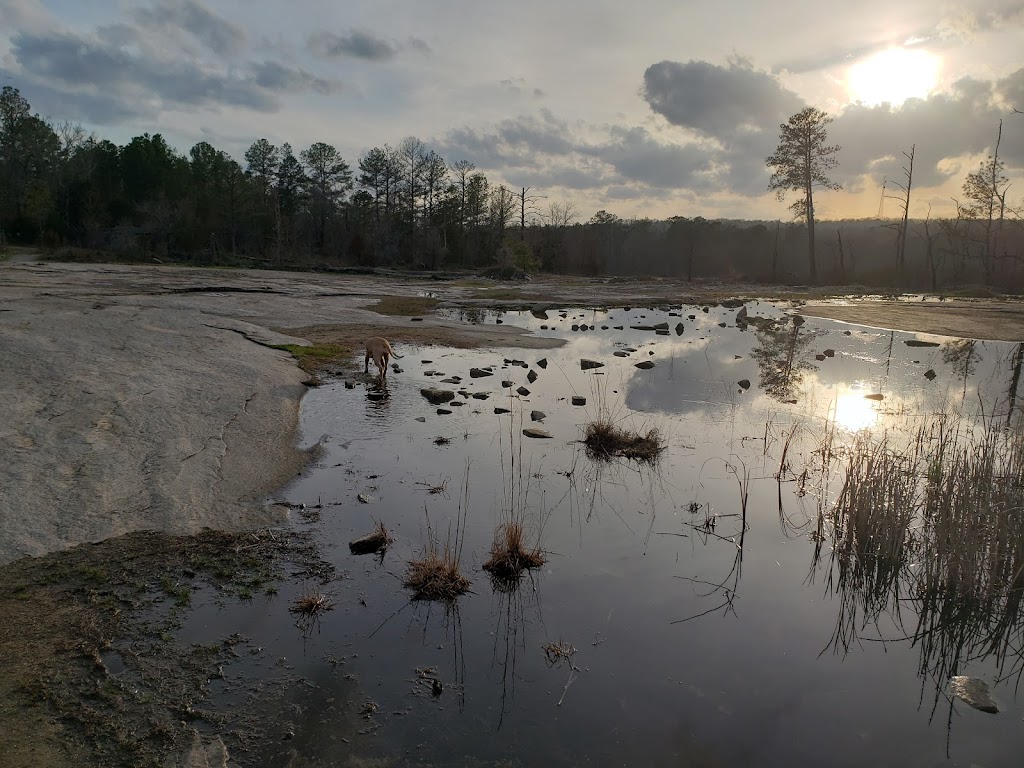 Davidson-Arabia Mountain Nature Preserve | 3787 Klondike Rd, Stonecrest, GA 30038, USA | Phone: (770) 492-5220