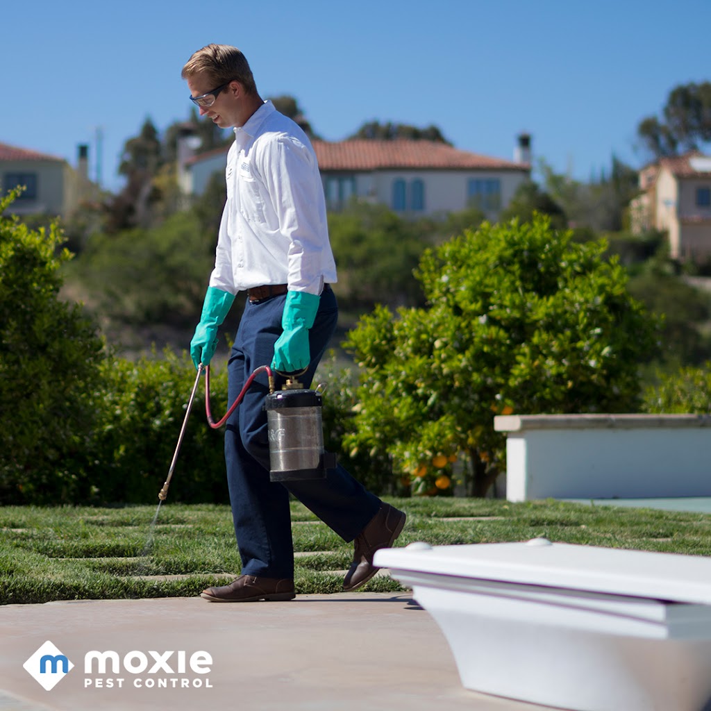 Moxie Pest Control | 8404 Esters Blvd Ste 100, Irving, TX 75063, USA | Phone: (817) 659-2888