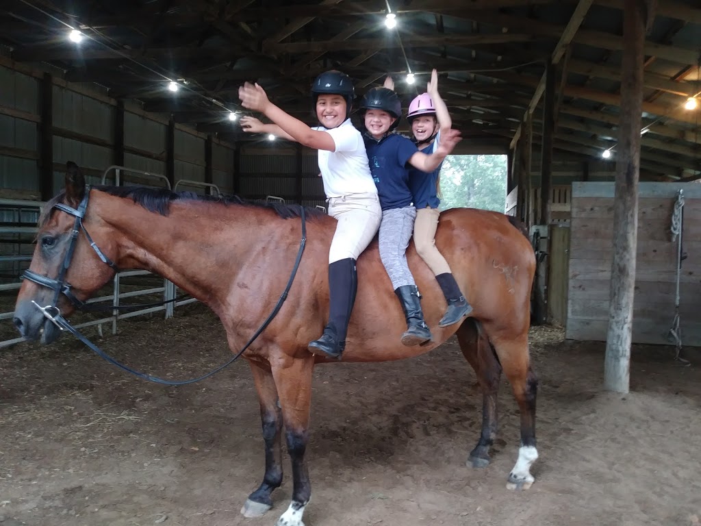 Capriole School Of Riding | 333 Slate Rock Rd, Ennis, TX 75119, USA | Phone: (469) 254-5498