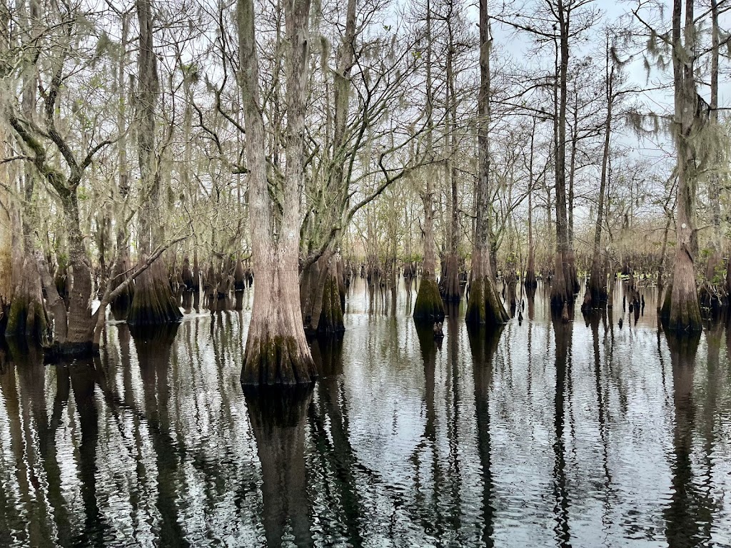 St Johns River Airboat Tour, LLC | 28500 E Colonial Dr, Christmas, FL 32709, USA | Phone: (321) 615-8999