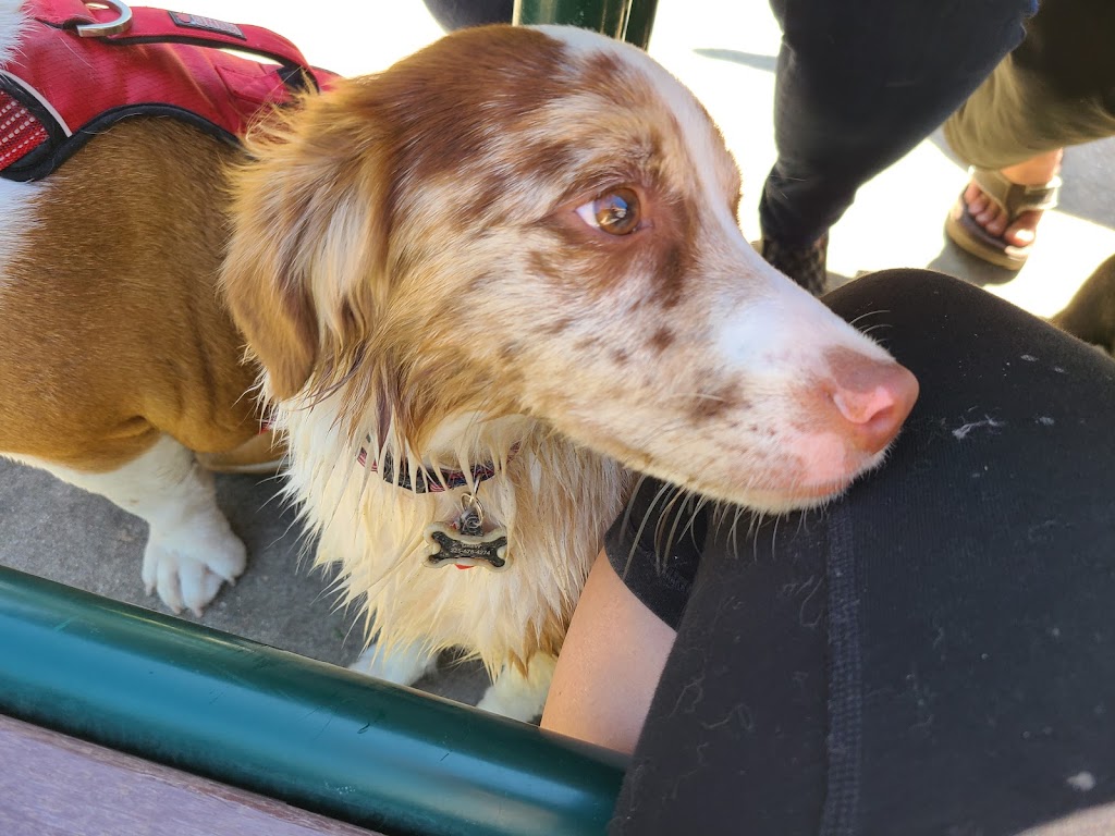 Raising Canes Dog Park at Forest Community Park | 13900 S Harrells Ferry Rd, Baton Rouge, LA 70816 | Phone: (225) 752-1853