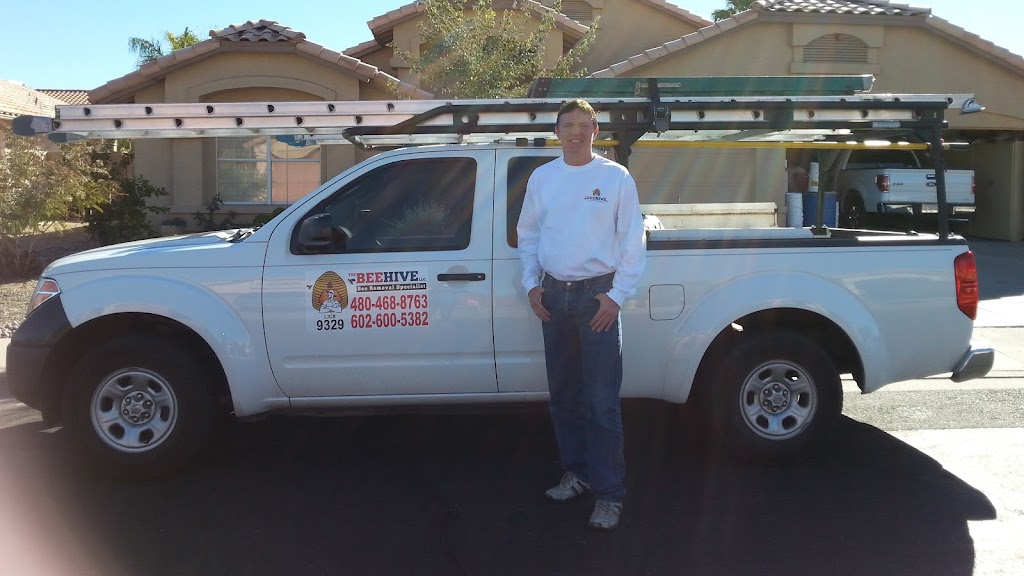 The Beehive Bee and Wasp Removal | 17828 N 10th Ave, Phoenix, AZ 85023, USA | Phone: (602) 600-5382