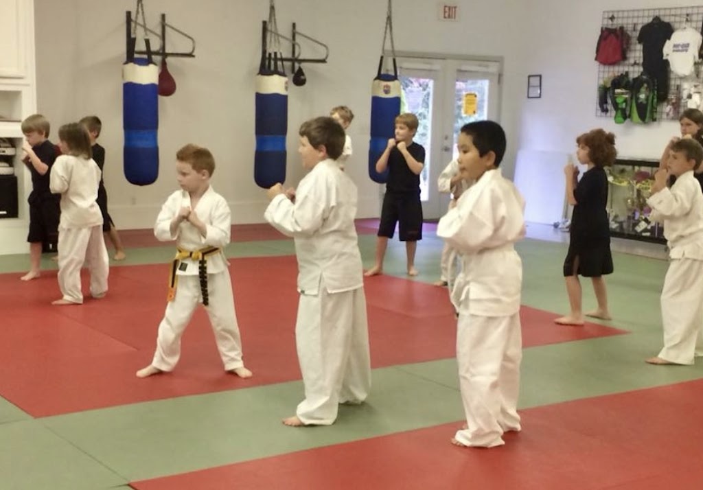 Top Gun Martial Arts & More | 2307 US-41, Greenbrier, TN 37073, USA | Phone: (615) 643-2199