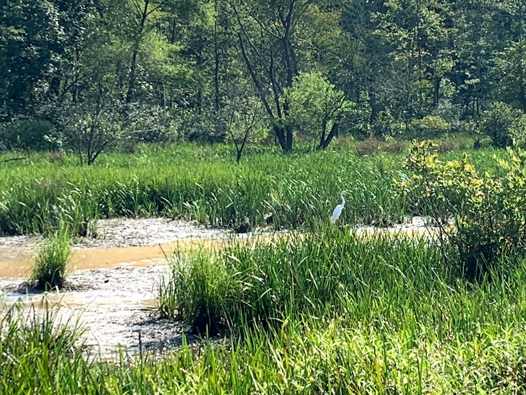 Mill Creek Nature Center | 2355 Mall of Georgia Blvd, Buford, GA 30519, USA | Phone: (770) 787-7887