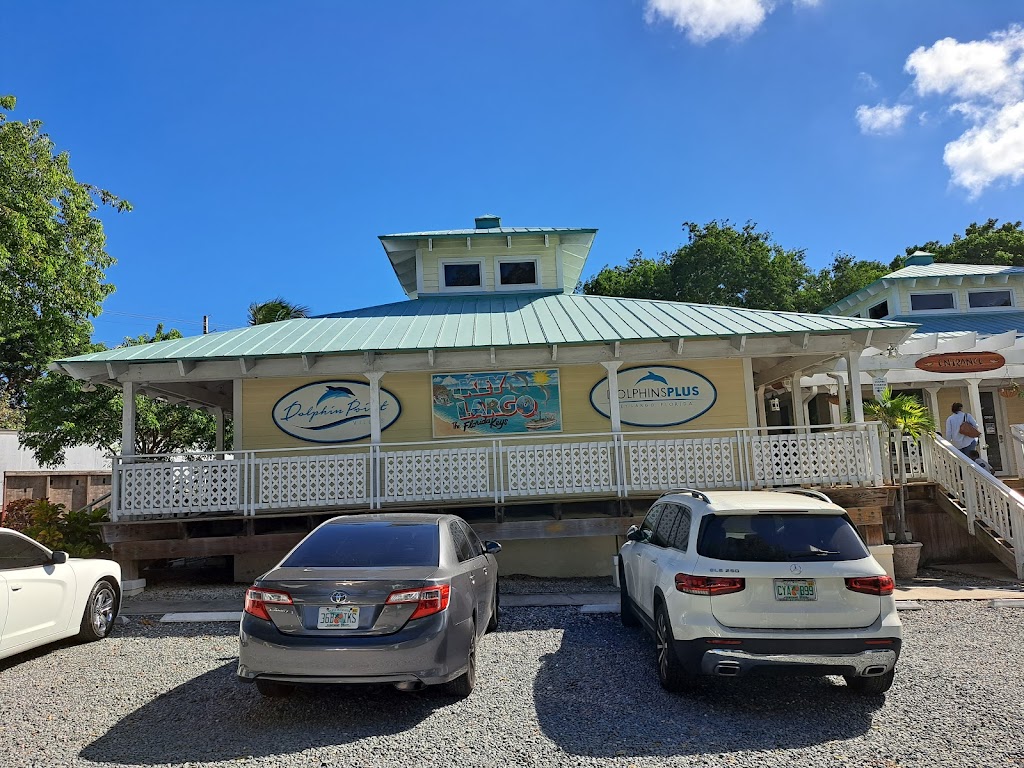 Dolphins Plus Bayside | 101900 Overseas Hwy, Key Largo, FL 33037, USA | Phone: (305) 451-4060