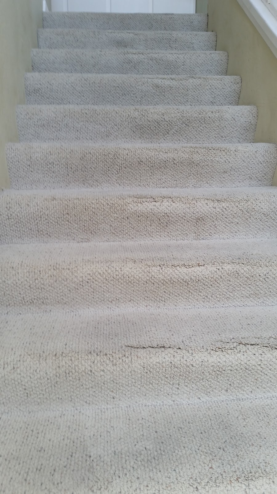 Carpet Cleaning by Torres Cleaners | 46 N 25th St, San Jose, CA 95116, USA | Phone: (408) 786-4664