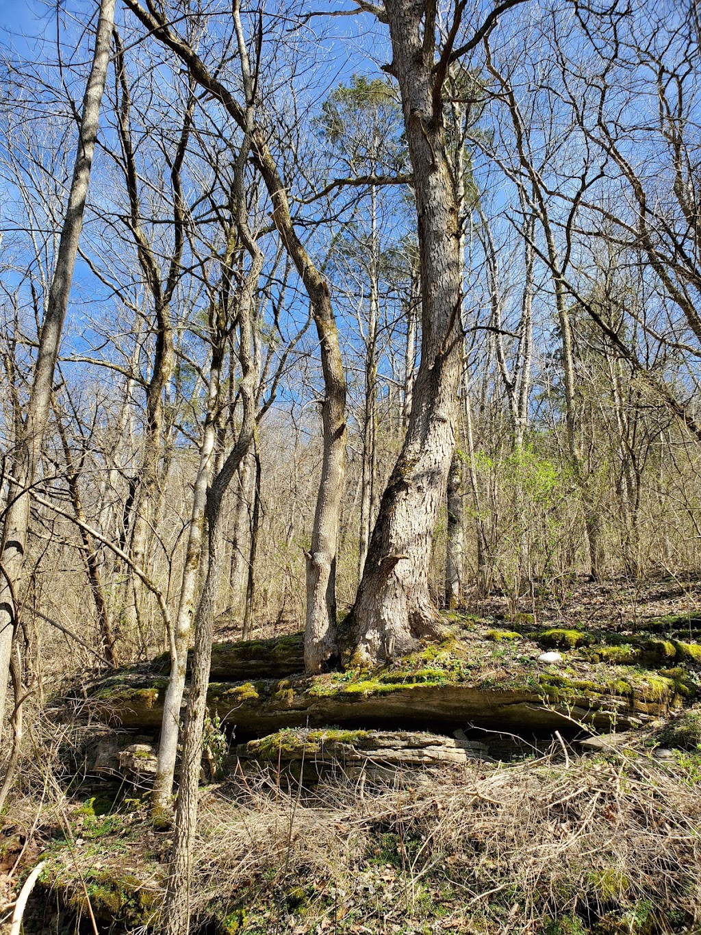 Lower Howard’s Creek Nature and Heritage Preserve | 1225 Athens Boonesboro Rd, Winchester, KY 40391, USA | Phone: (859) 806-2466