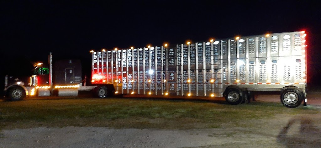 Center Hill Cattle Trailer Washout | 10560 Co Rd 707, Webster, FL 33597, USA | Phone: (352) 457-6632
