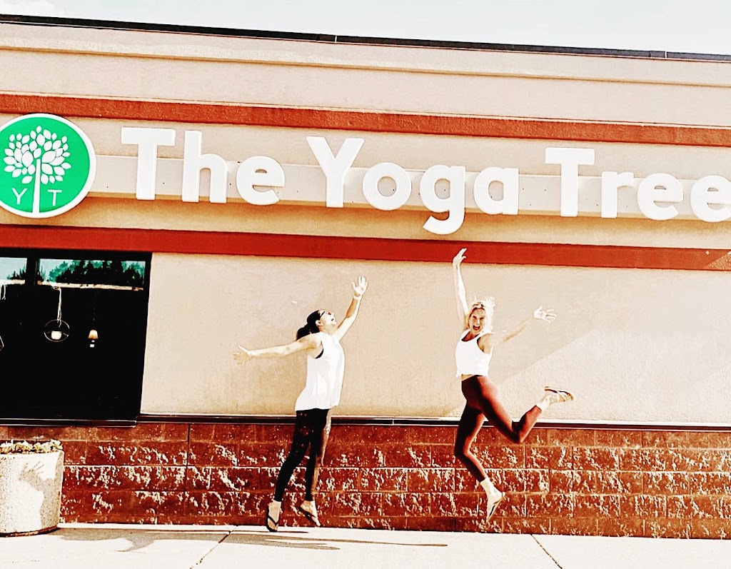 The Yoga Tree | 104 10th Ave NE suite 200, New Prague, MN 56071, USA | Phone: (952) 232-9040