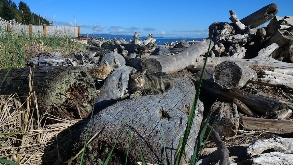 Island County Parks Tillicum Beach | 2947 S Tillicum Beach Dr, Camano, WA 98282, USA | Phone: (360) 679-7331