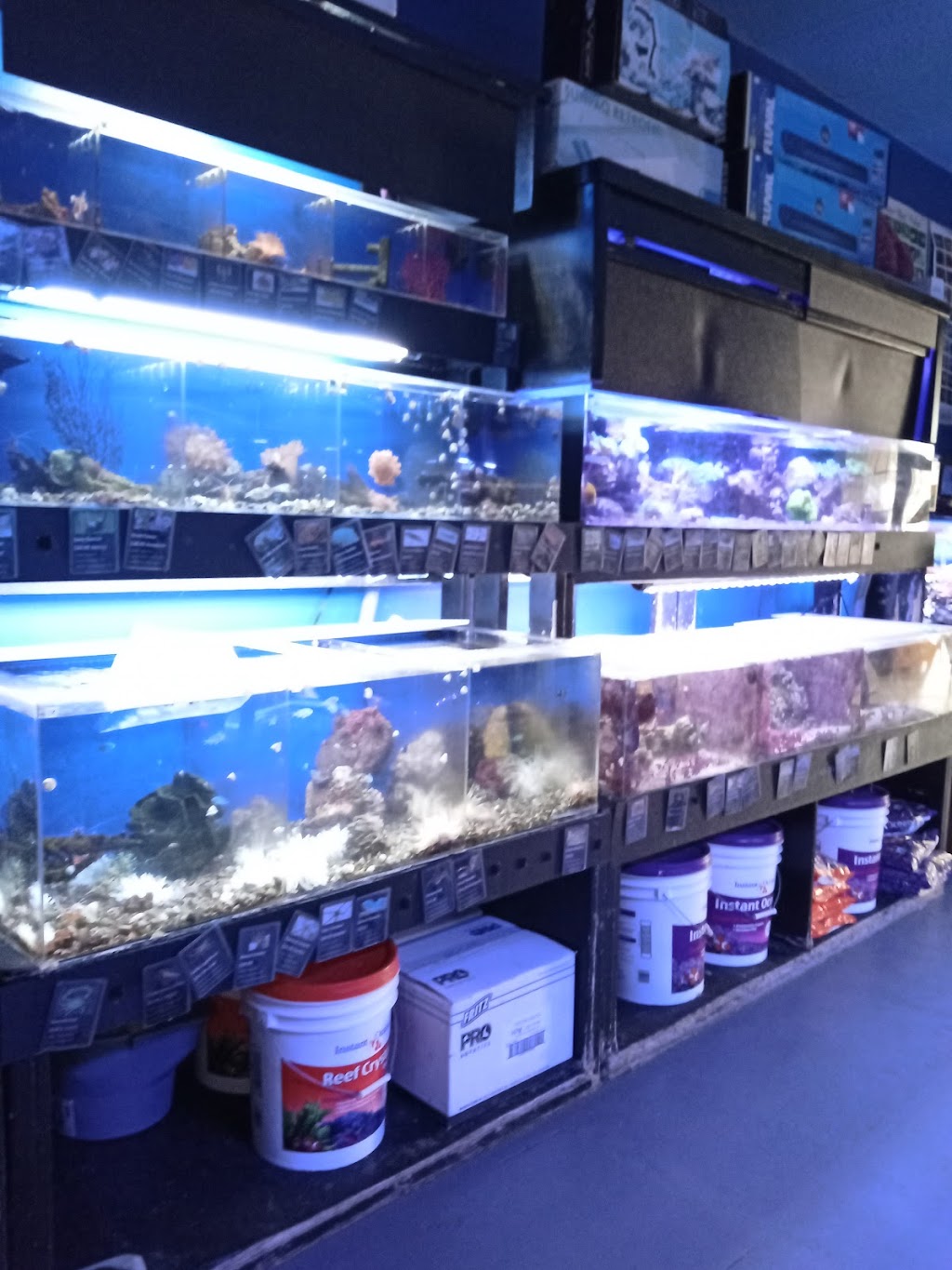 Aquatic Design Aquariums | 1629 N US 75-Central Expy 1000, Plano, TX 75075 | Phone: (972) 423-0414