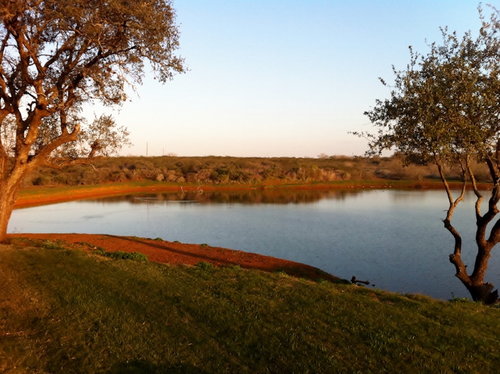 Wilson Whitetail & Wing Shooting Ranch (WWR) | 5600 Keystone Rd, Pearsall, TX 78061, USA | Phone: (210) 602-4531