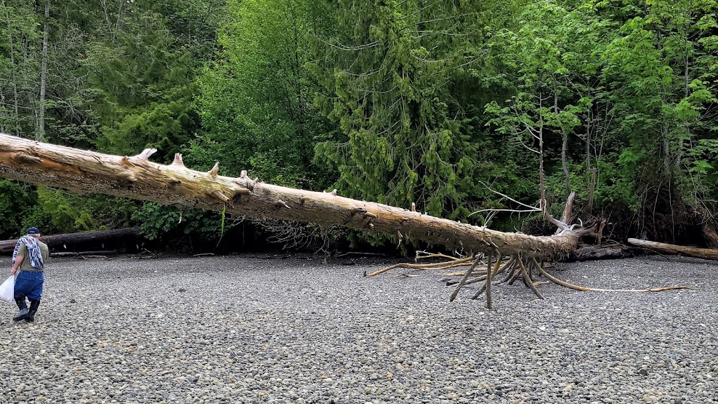 Kopachuck State Park | 10712 56th St NW, Gig Harbor, WA 98335, USA | Phone: (253) 265-3606