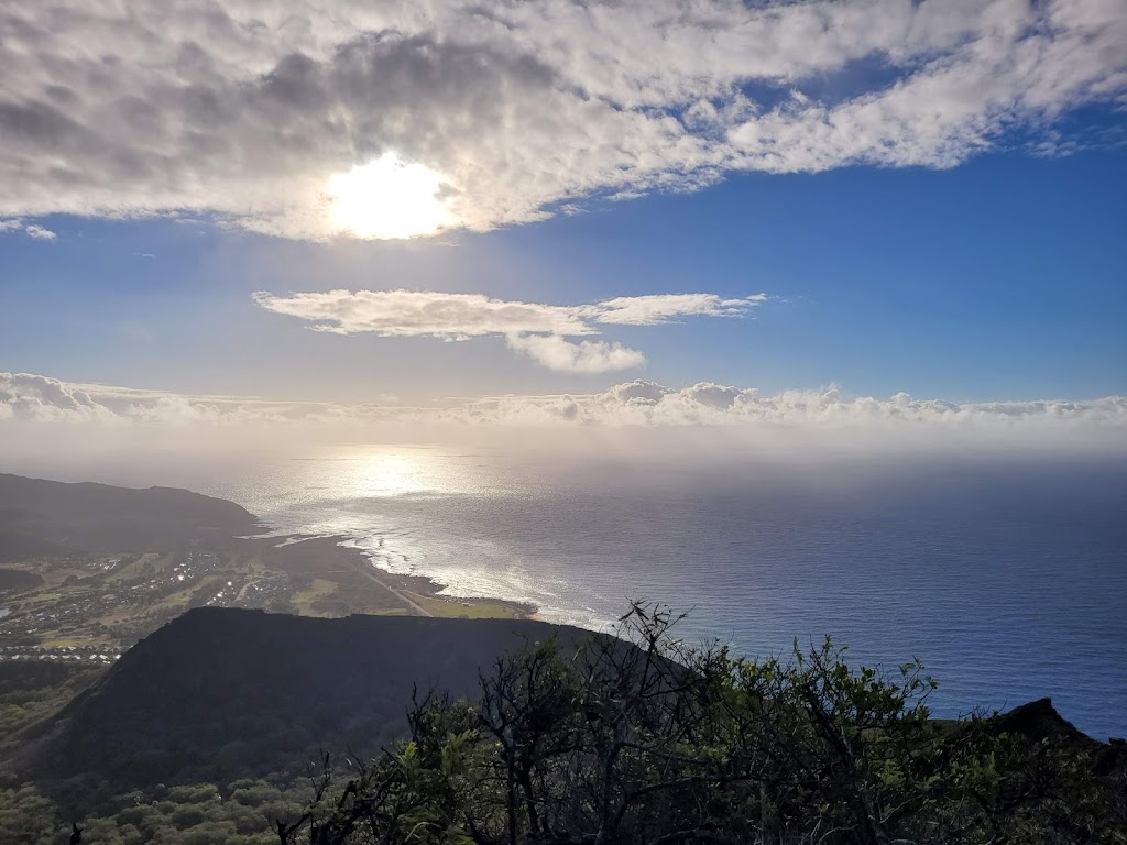 Koko Crater Botanical Garden | 7491 Kokonani St, Honolulu, HI 96825, USA | Phone: (808) 522-7060