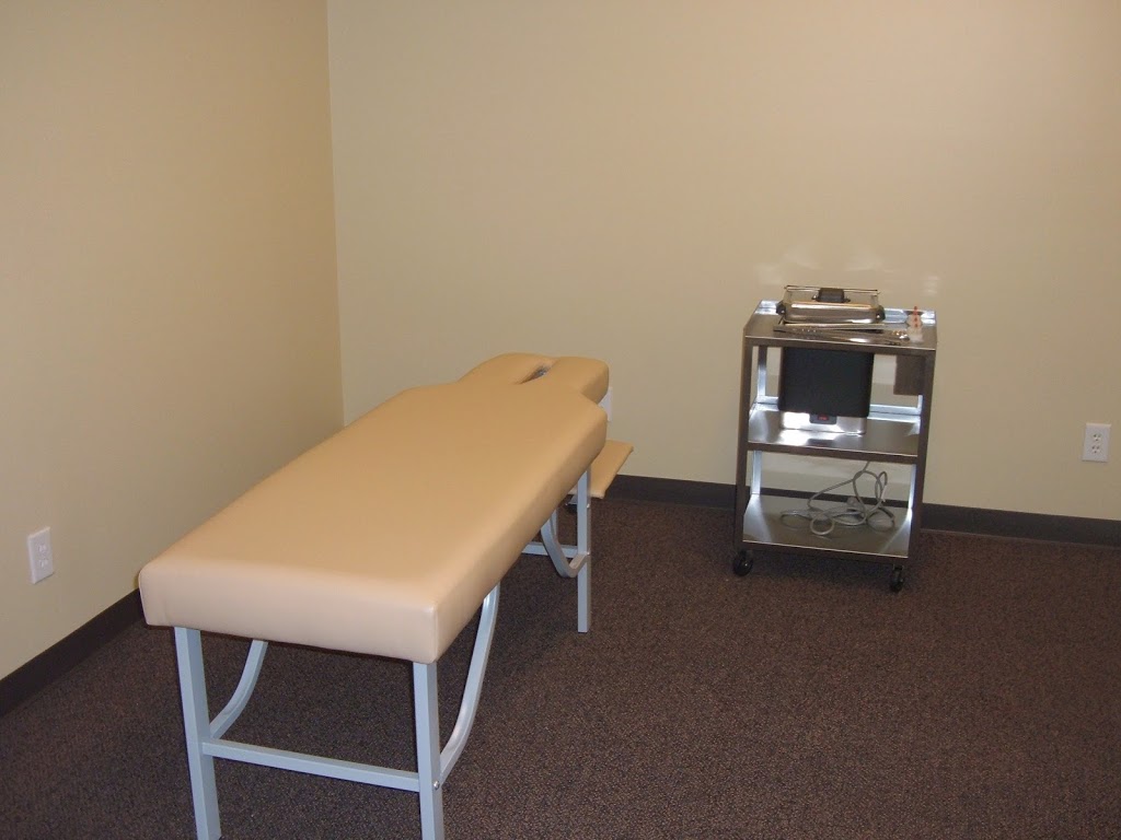 Pala Chiropractic | 14701 Cumberland Rd #350, Noblesville, IN 46060, USA | Phone: (317) 770-1970