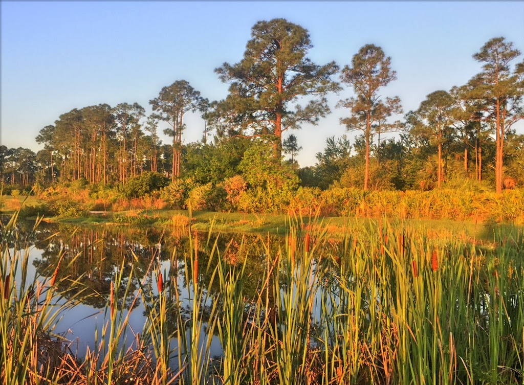 Rodes Park Community Center | Rodes Park Community Center, 3410 Flanagan Ave, West Melbourne, FL 32904, USA | Phone: (321) 952-3215