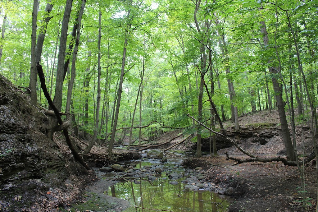 French Creek Nature Center and Theatre | 4530 Colorado Ave, Sheffield, OH 44054, USA | Phone: (440) 949-5200