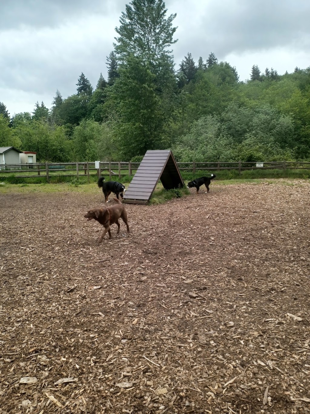 Tails and Trails Dog Park | 1301 5th St, Mukilteo, WA 98275, USA | Phone: (425) 263-8000