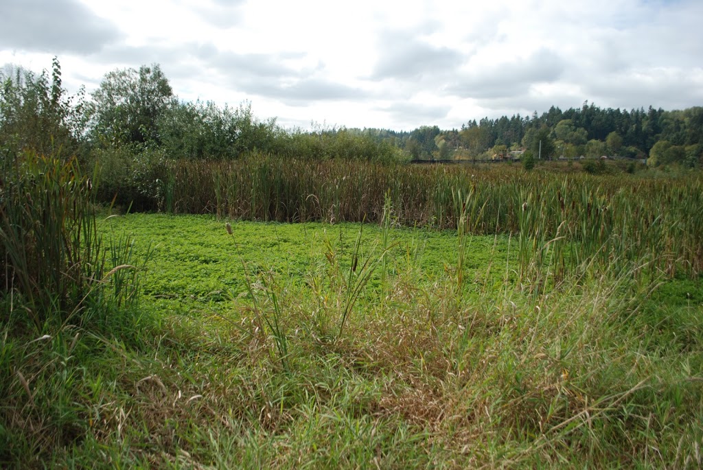 Wetlands Boardwalk Trailhead | NW, 413 Western St, Auburn, WA 98001, USA | Phone: (253) 931-3090